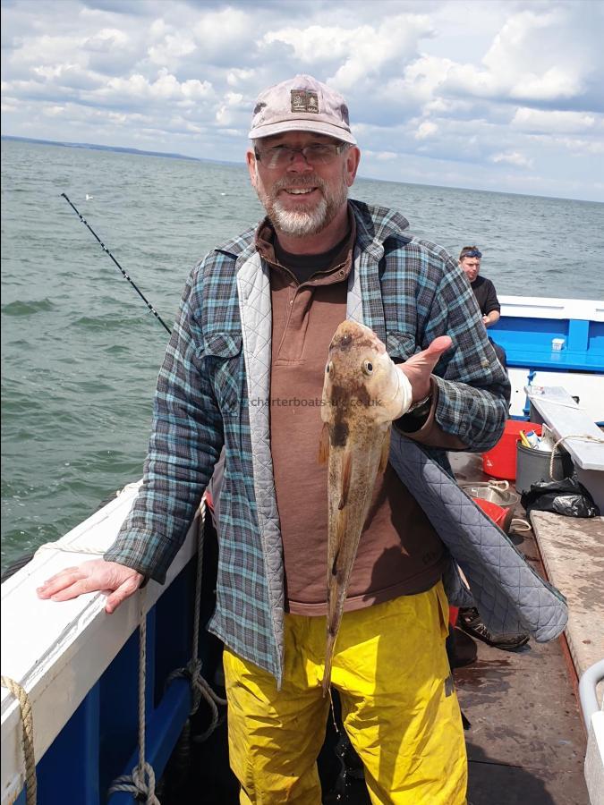 5 lb Cod by Unknown