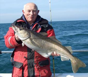 13 lb 8 oz Pollock by MIck Nunn