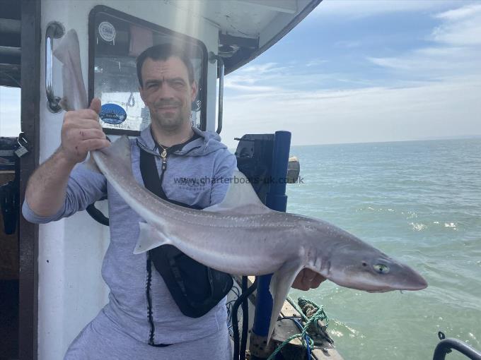 9 lb Smooth-hound by Unknown