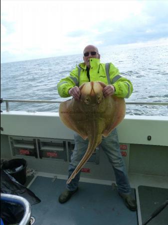 24 lb Blonde Ray by Bob