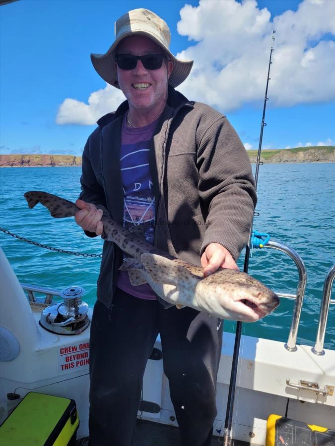 10 lb Bull Huss by Unknown