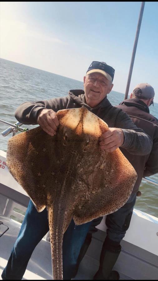24 lb Blonde Ray by Unknown