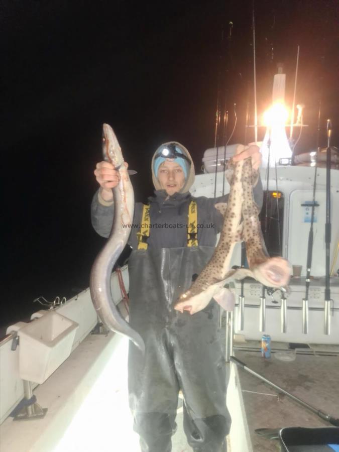 10 lb Conger Eel by Unknown