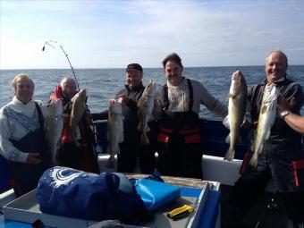 12 lb Cod by Unknown