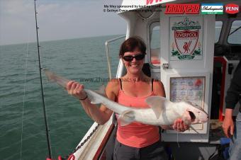 12 lb Starry Smooth-hound by Heather