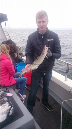 5 lb Ling by Unknown