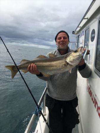 11 lb Pollock by Greg