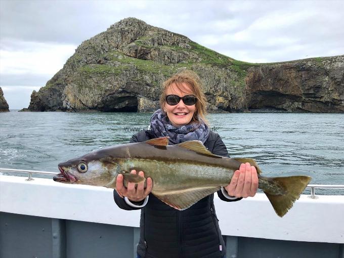 6 lb 13 oz Pollock by Unknown