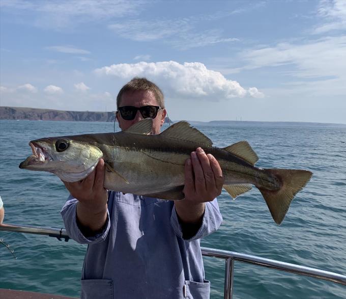 4 lb 8 oz Pollock by Daddykins