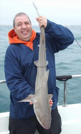 11 lb Starry Smooth-hound by Peter Gillett