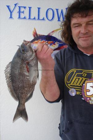 2 lb 8 oz Black Sea Bream by Muff