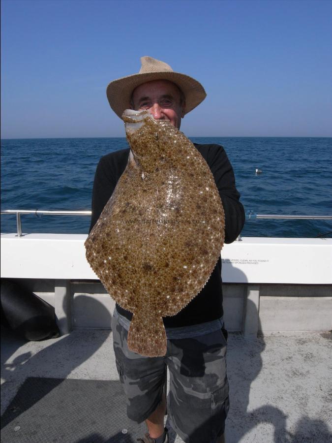 8 lb Brill by Unknown