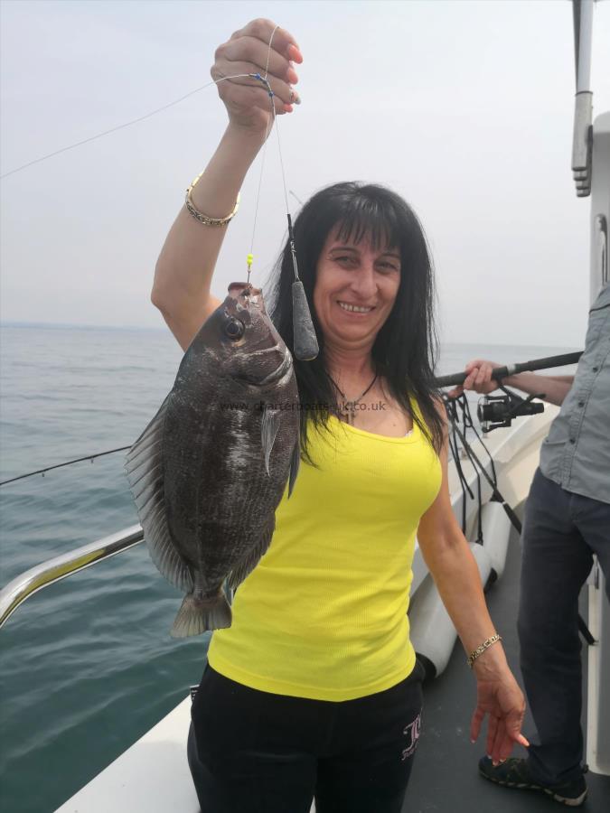 2 lb 8 oz Black Sea Bream by Unknown