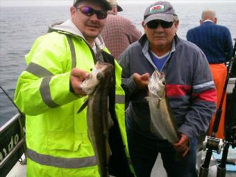 4 lb 3 oz Pollock by Garry and Richard