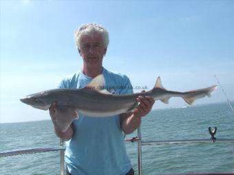 12 lb Starry Smooth-hound by Ian Burrett