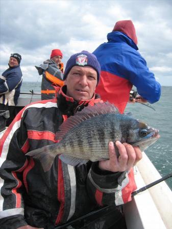 3 lb Black Sea Bream by Colin