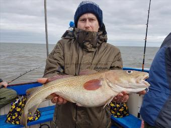 10 lb Cod by Unknown