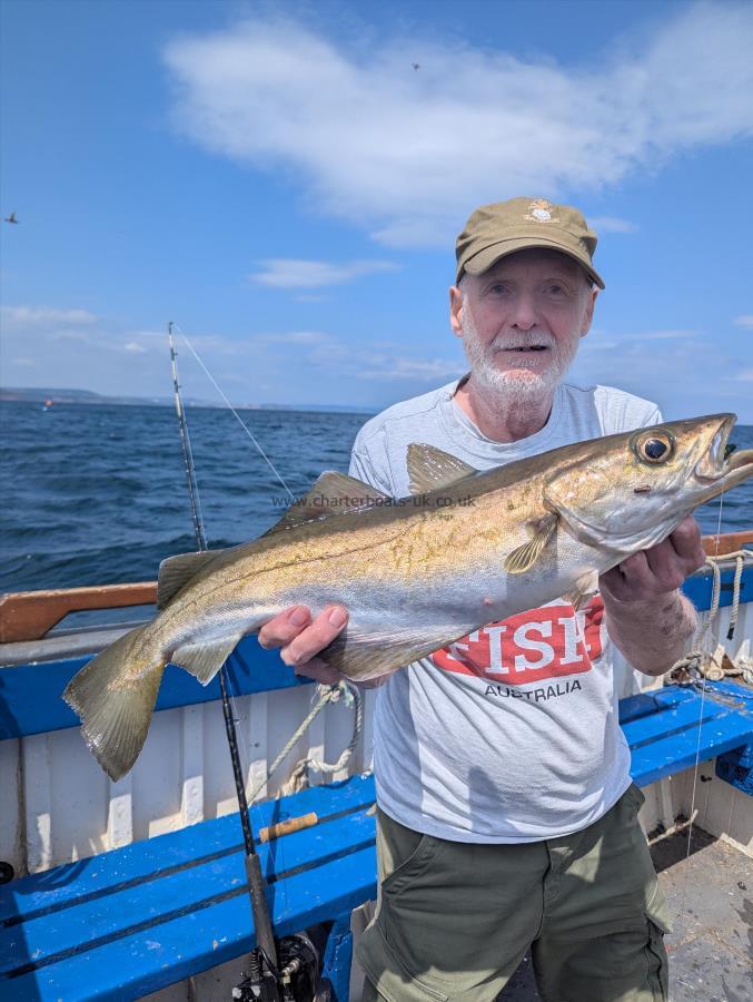6 lb 8 oz Pollock by Unknown