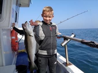 5 lb Pollock by Harry