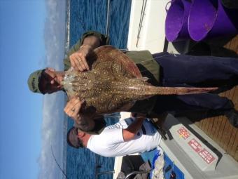 8 lb Undulate Ray by Gary Wylde