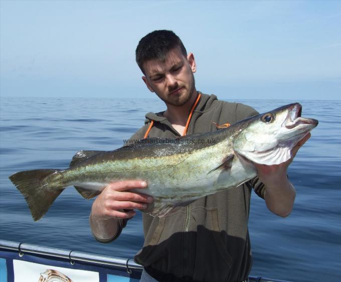 8 lb 8 oz Pollock by Luke Williams