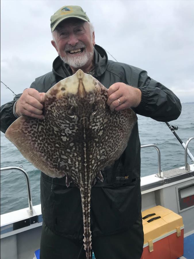 5 lb Thornback Ray by Eddie