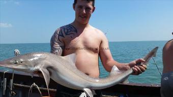 14 lb Starry Smooth-hound by Roy brice