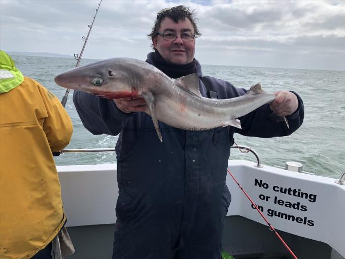 18 lb Spurdog by Freshwater IOW