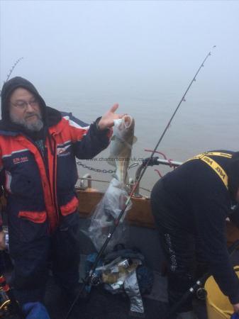 3 lb 6 oz Cod by John