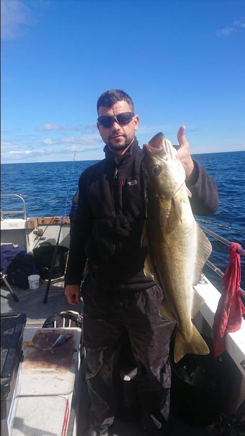 5 lb 2 oz Pollock by Davy