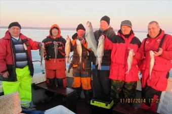 3 lb 5 oz Whiting by Stephen Wake