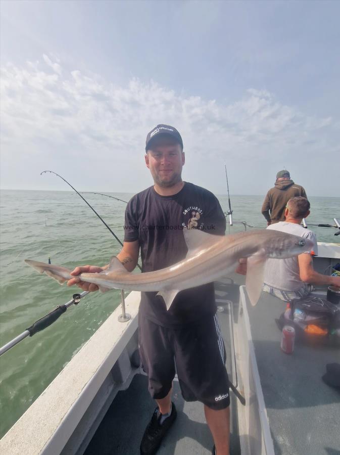 8 lb Smooth-hound (Common) by Luke