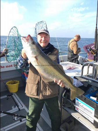 13 lb Pollock by Brian