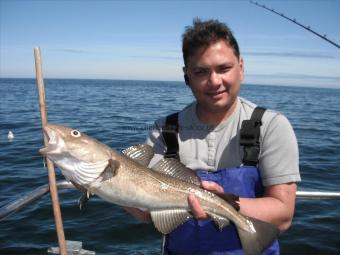 5 lb Cod by Shams