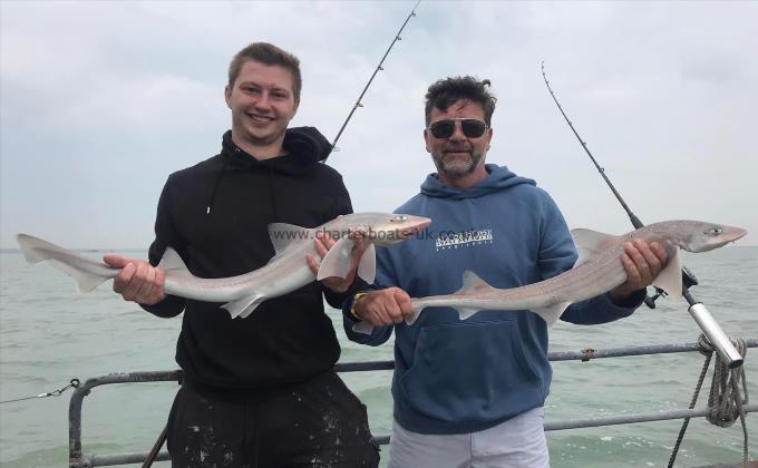 6 lb Smooth-hound by Unknown