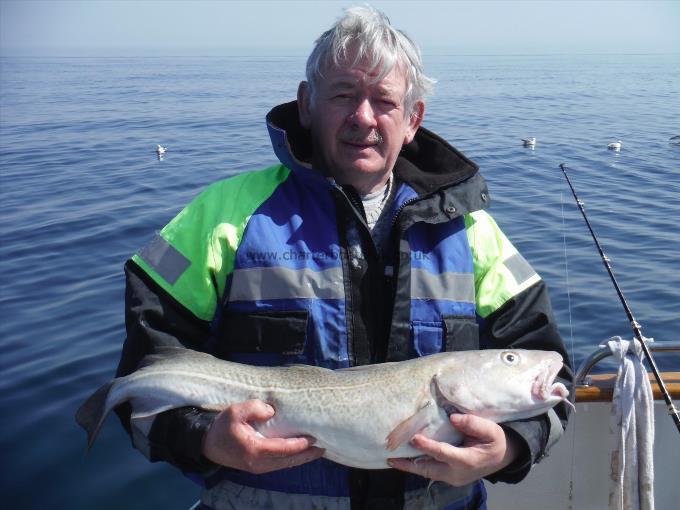 11 lb 1 oz Cod by Mel