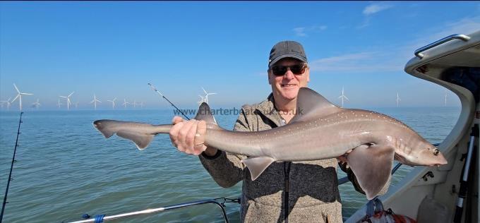 10 lb 7 oz Smooth-hound by Steve.w