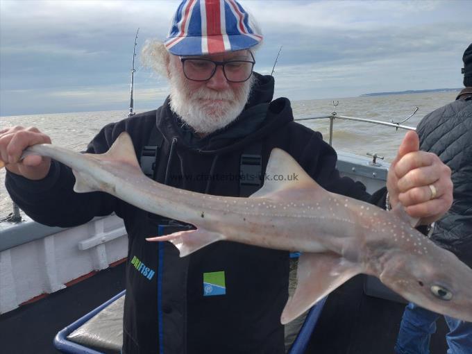 6 lb Smooth-hound by Brian