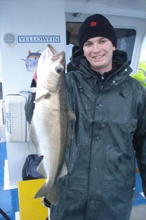 8 lb 4 oz Pollock by Mark