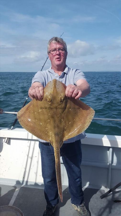 11 lb Blonde Ray by Robin