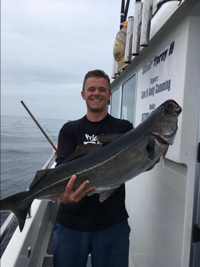 16 lb Coalfish (Coley/Saithe) by Sam Cumming