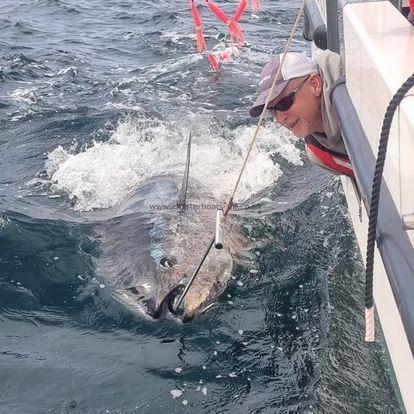 450 lb Bluefin Tuna by Jeff