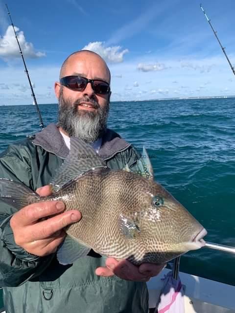 2 lb Trigger Fish by Unknown