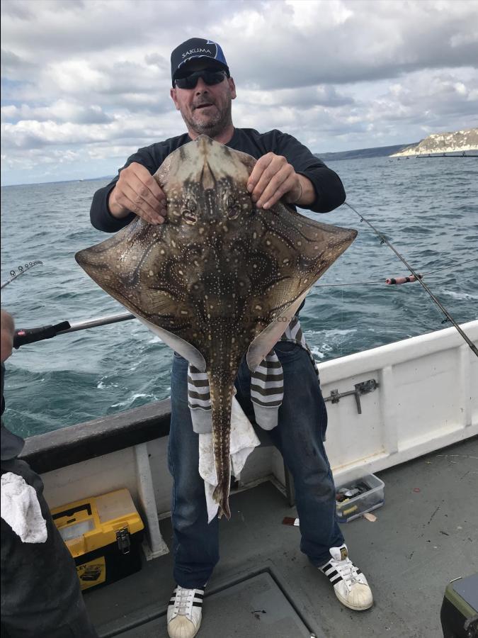 11 lb 2 oz Undulate Ray by Unknown