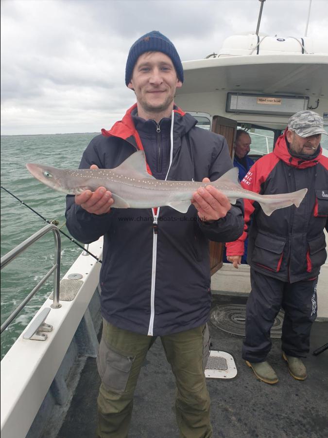 5 lb Starry Smooth-hound by Bob Marshall