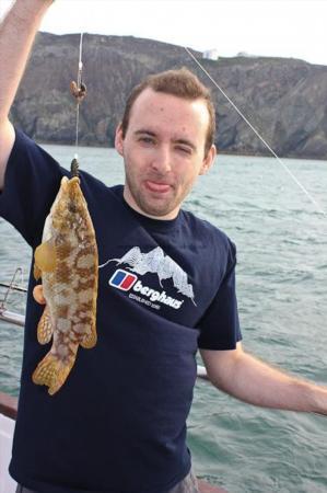 1 lb 8 oz Ballan Wrasse by Chirs