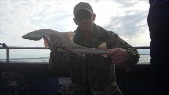 5 lb 2 oz Starry Smooth-hound by Jeff party
