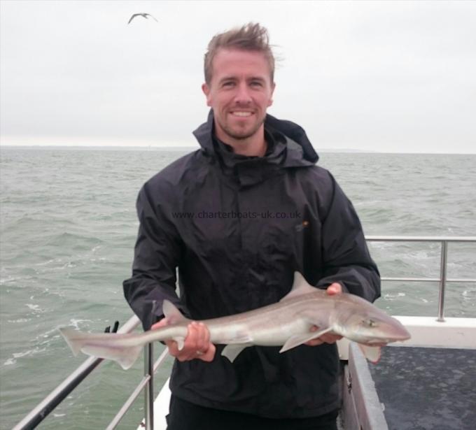 5 lb Starry Smooth-hound by Bob Marshall