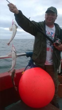 1 lb 8 oz Grey Gurnard by Unknown