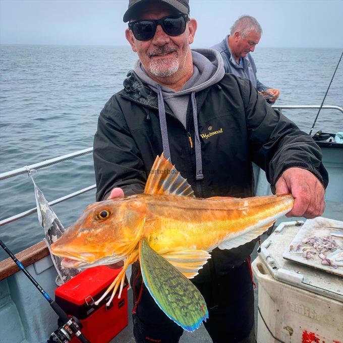 3 lb 6 oz Tub Gurnard by Jock